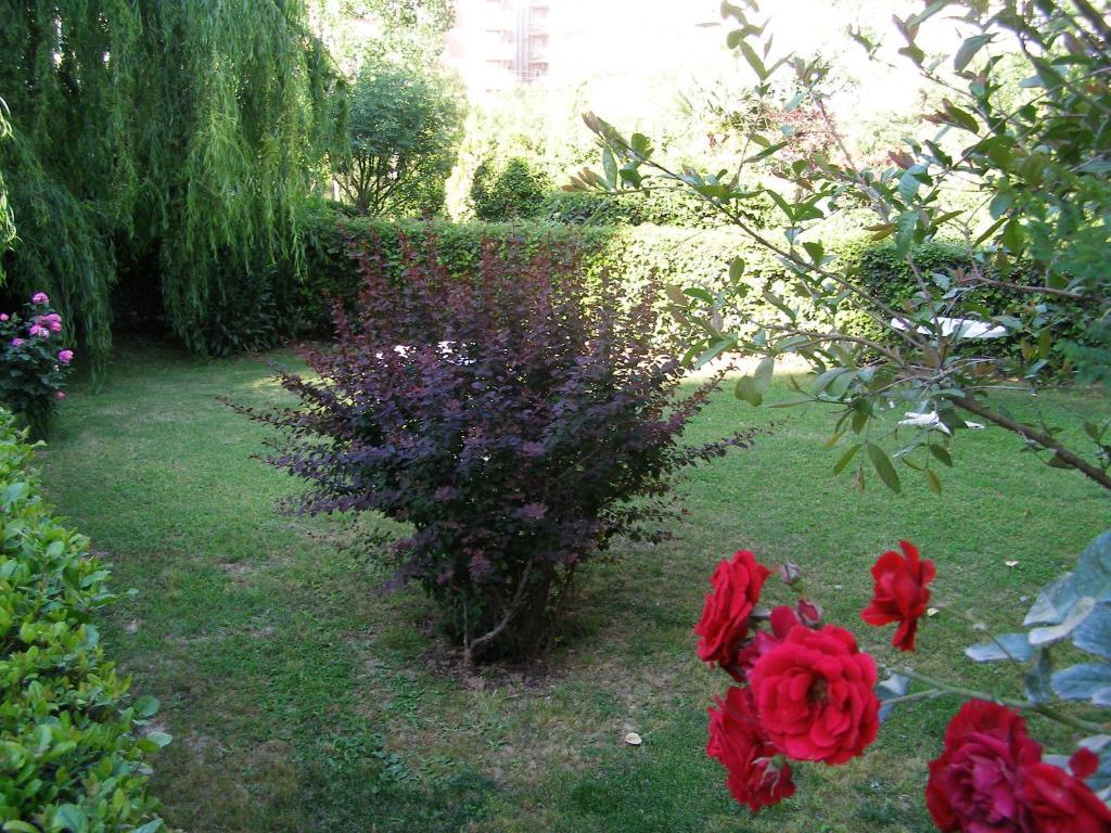 Sevkibey Hotel Alanya Kültér fotó