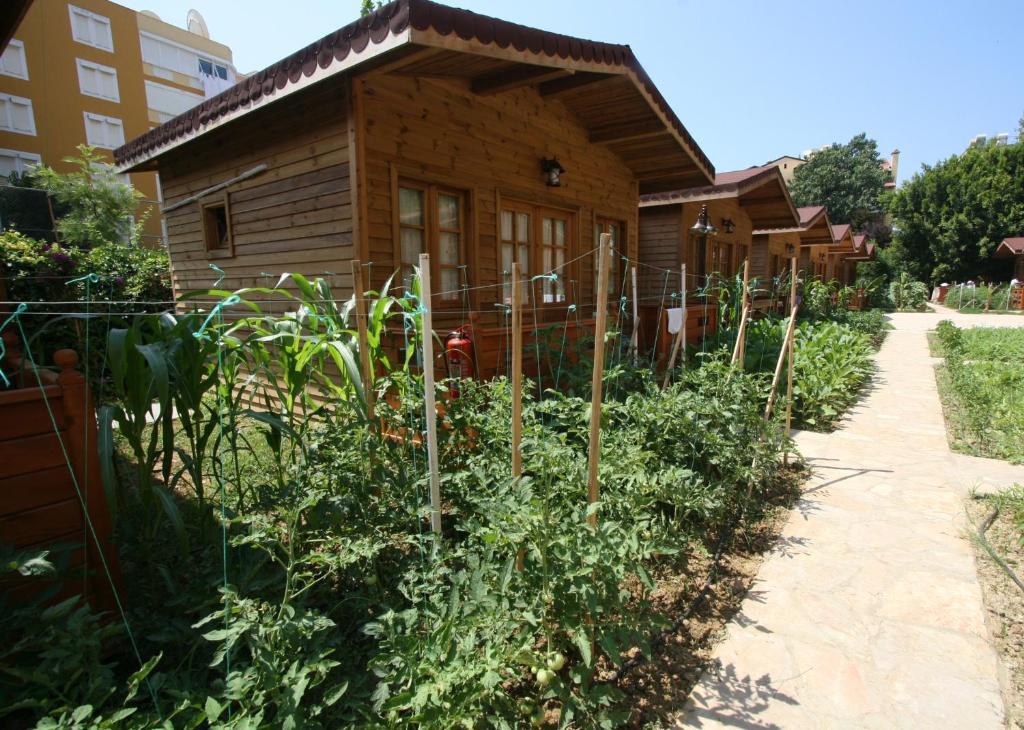 Sevkibey Hotel Alanya Kültér fotó
